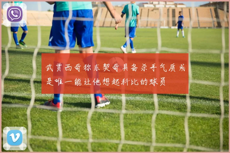 武贾西奇称东契奇具备杀手气质或是唯一能让他想起科比的球员