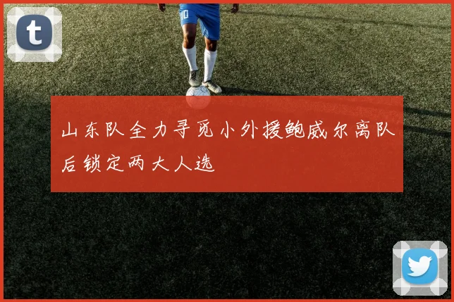 山东队全力寻觅小外援鲍威尔离队后锁定两大人选